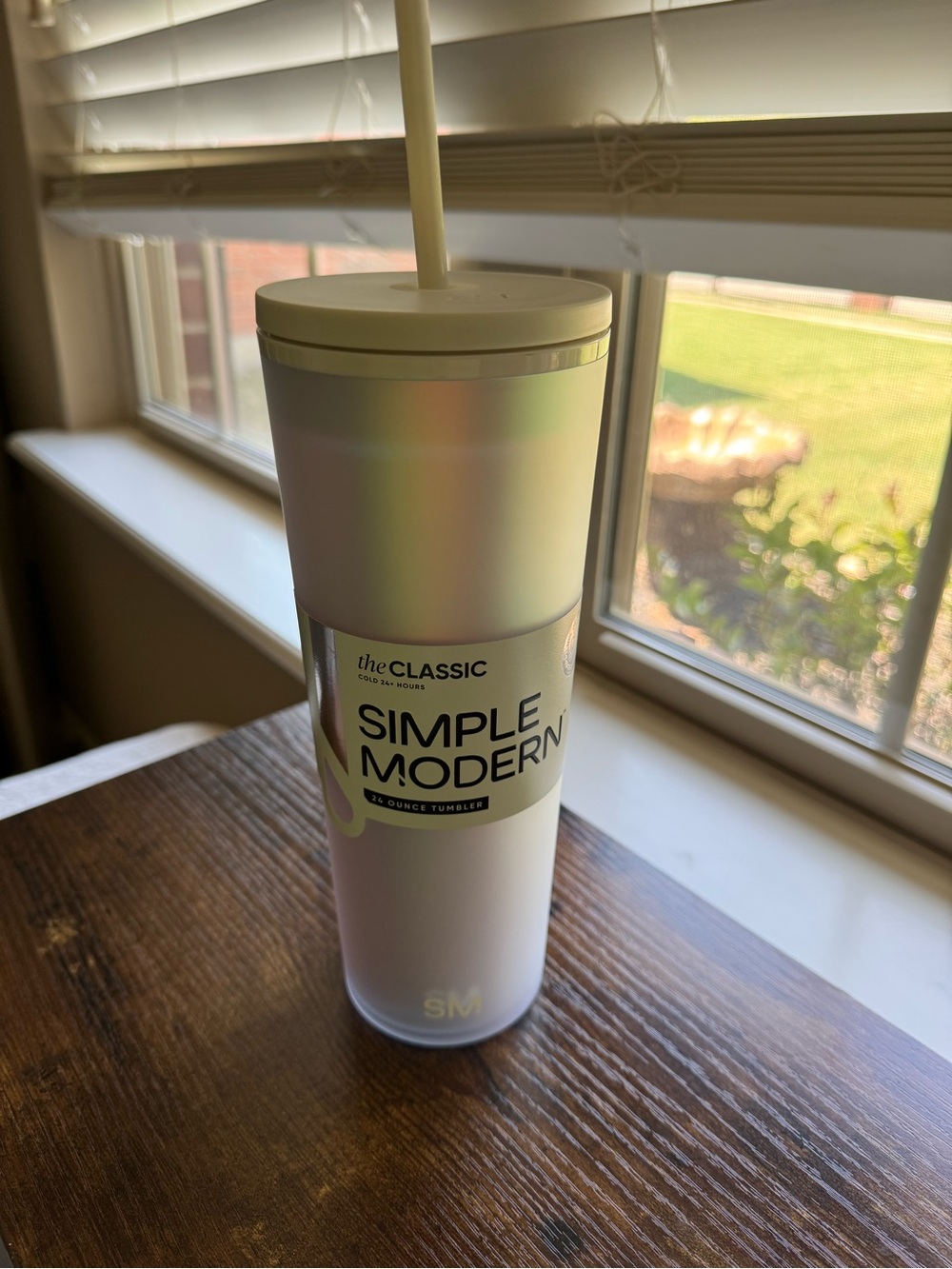 Simple Modern Opal Iridescent Classic Tumbler 24 oz NWT